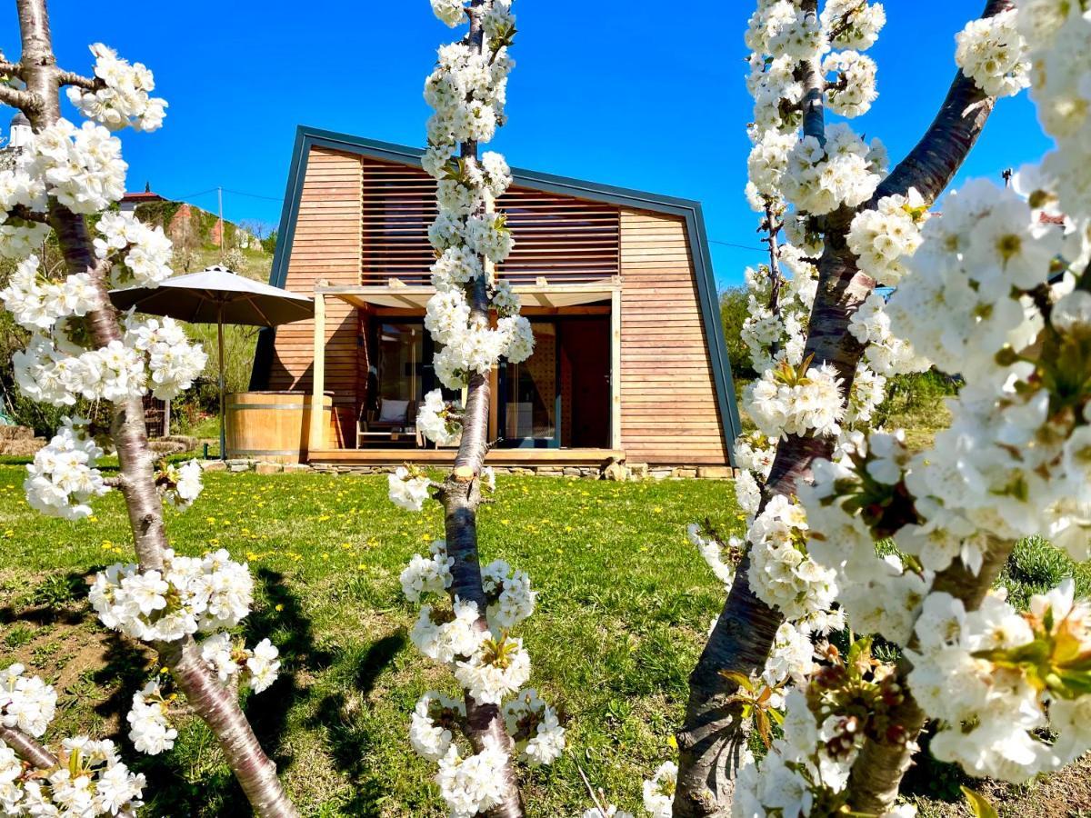 Villa Maxi Sonce, Odprte Vasi Prvacina Exterior foto
